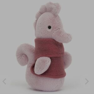 ✨️Cozy Crew Seahorse✨️